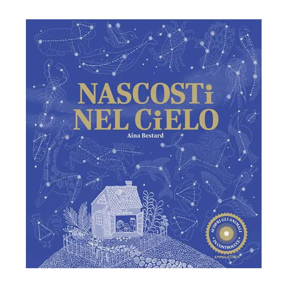 Camelozampa Nascosti nel cielo libro finestrelle 6 anni