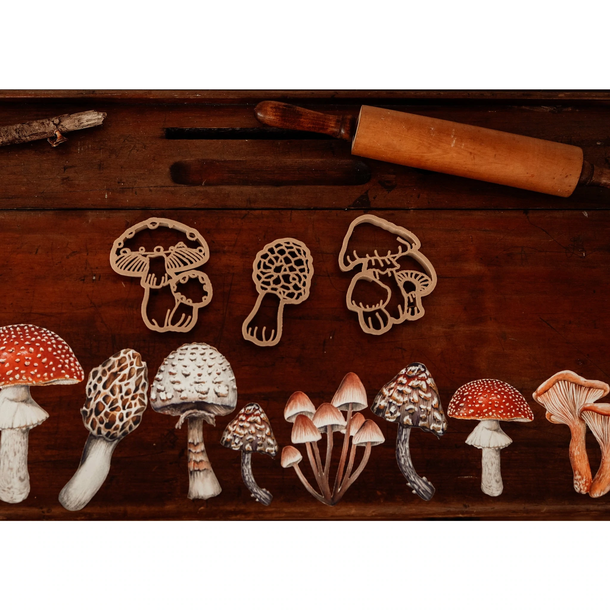 Kinfolk fungo formina eco cutter pasta modellabile