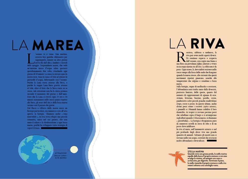 L’Ippocampo Oceano libro animato tagli laser 48 pagine