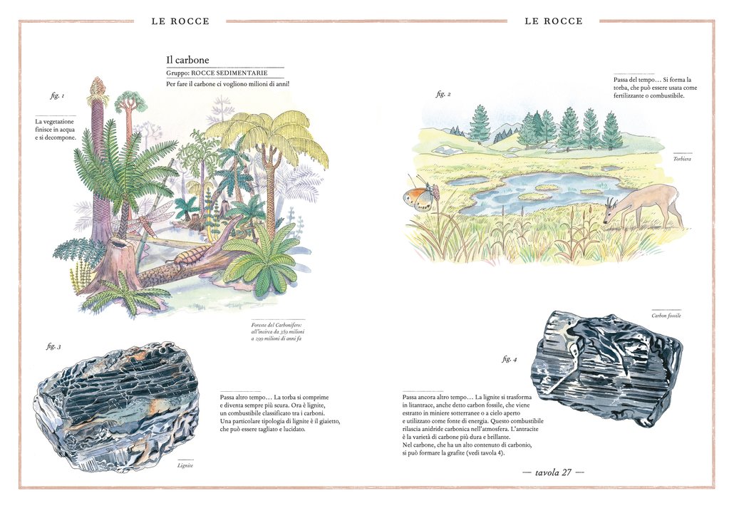 L'Ippocampo Inventario minerali libro da 6 anni