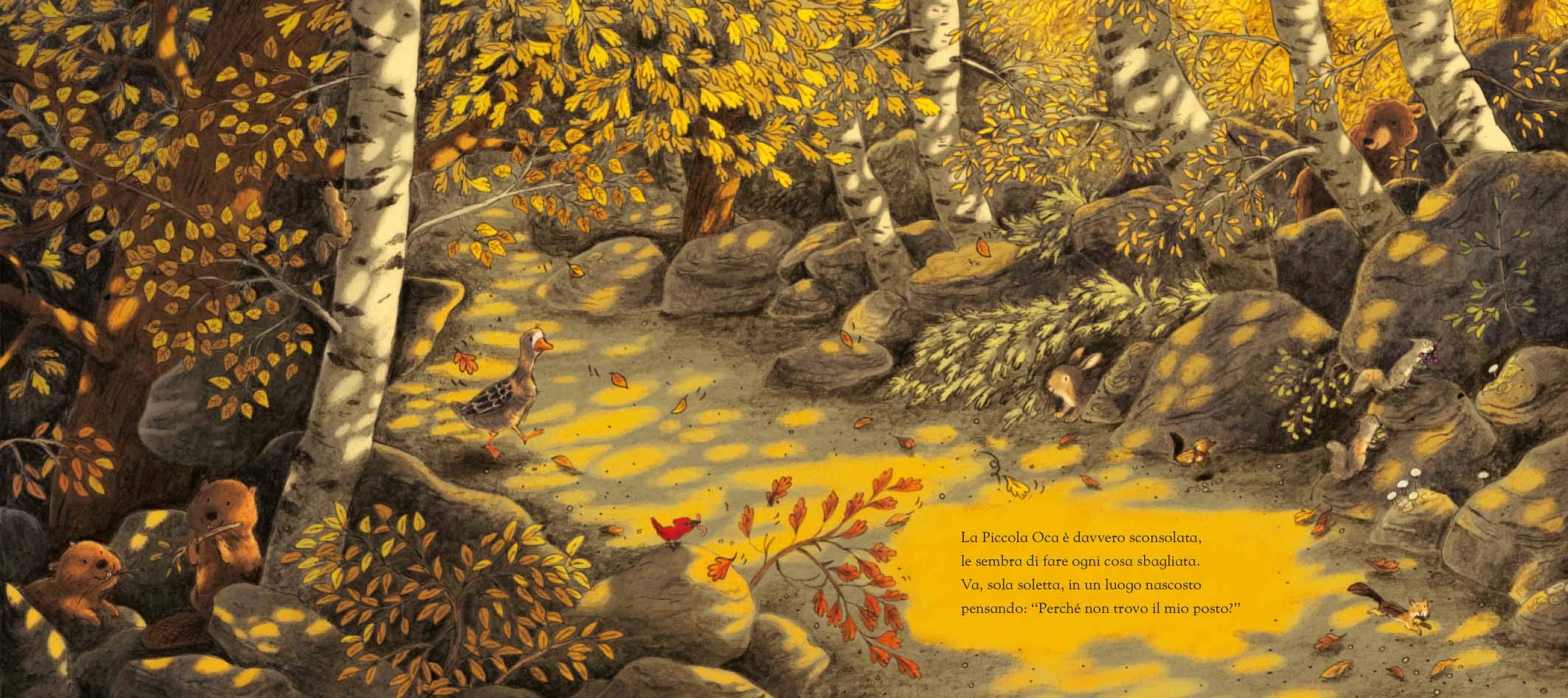 Emme Edizioni L'autunno della piccola oca libro illustrato 3 anni