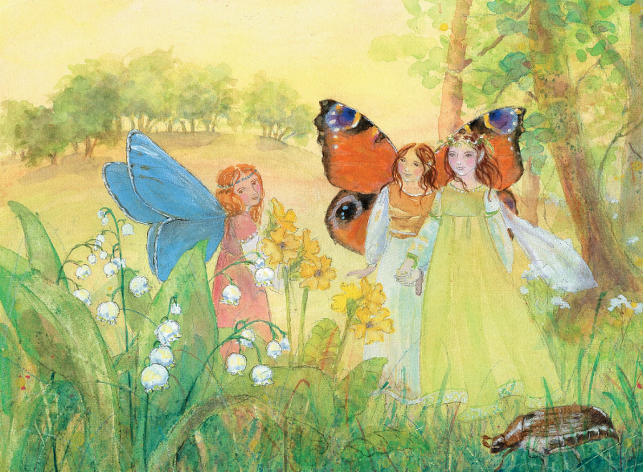 Daniela Drescher In the Land of Fairies Libro Illustrato 3-6 Anni