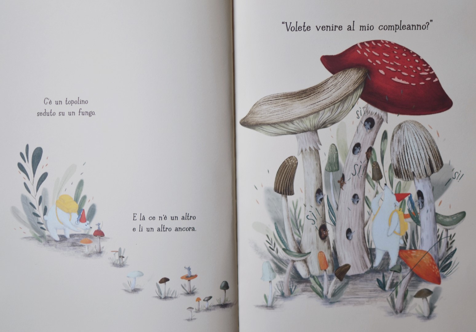 Terre di Mezzo Compleanno al Polo Nord libro bambini 56 pagine