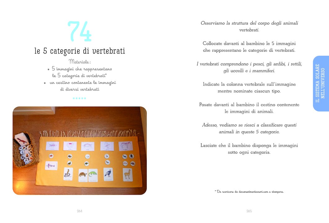L’Ippocampo Guida Attività Montessori 6-12 Anni Libro 496 Pagine