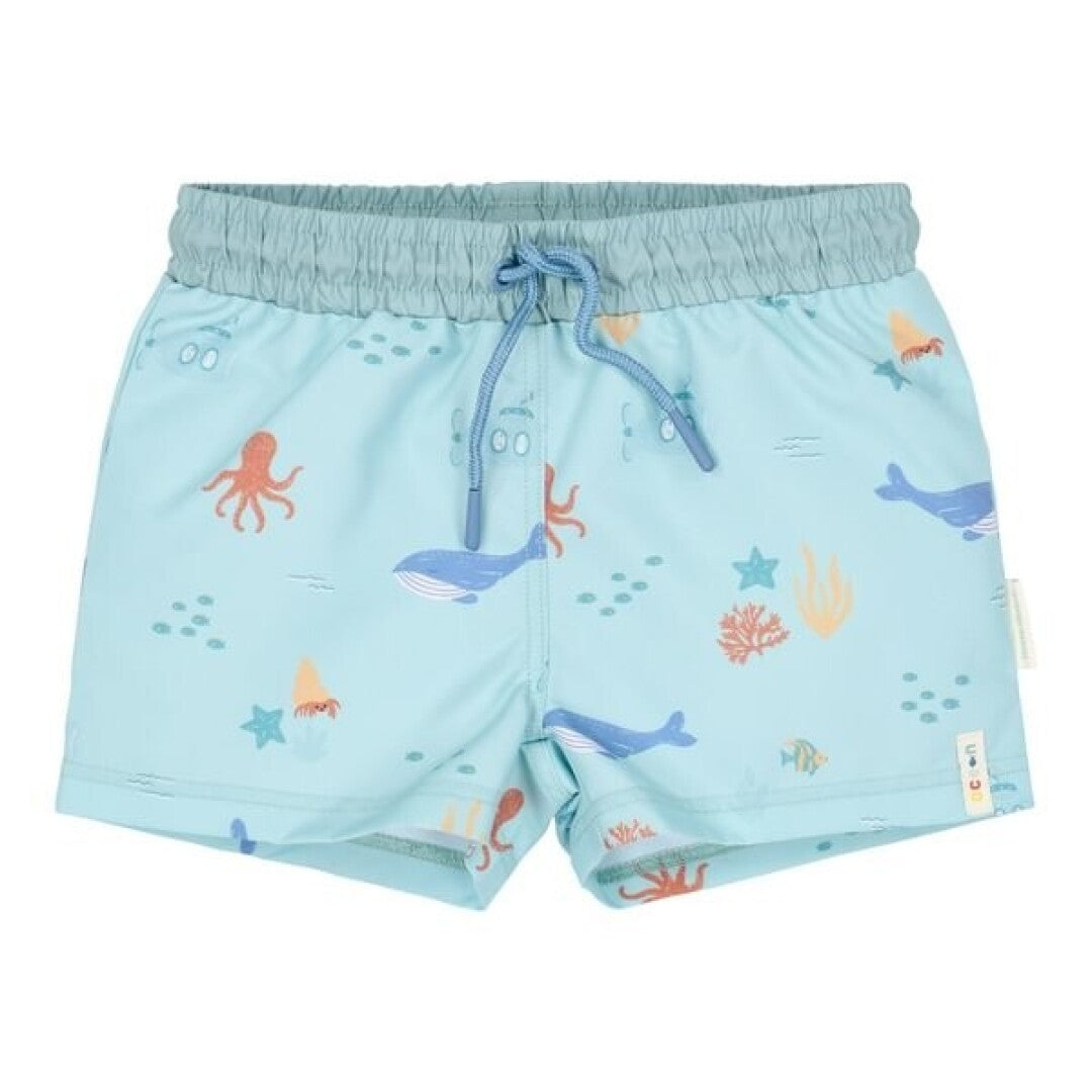 Little Dutch costume shorts bimbo blu oceano mare