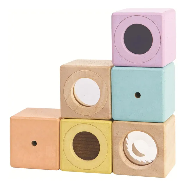 PlanToys Cubi Sensoriali primo gioco 6 pezzi