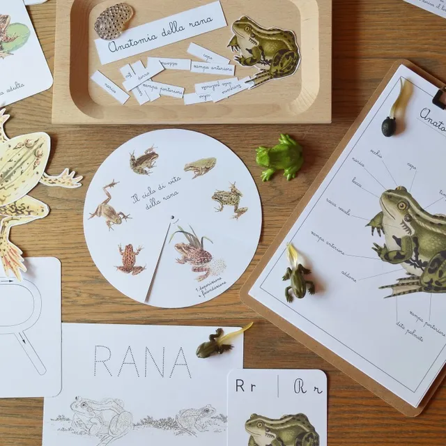 Baboo La Rana carte didattiche PDF 32 schede