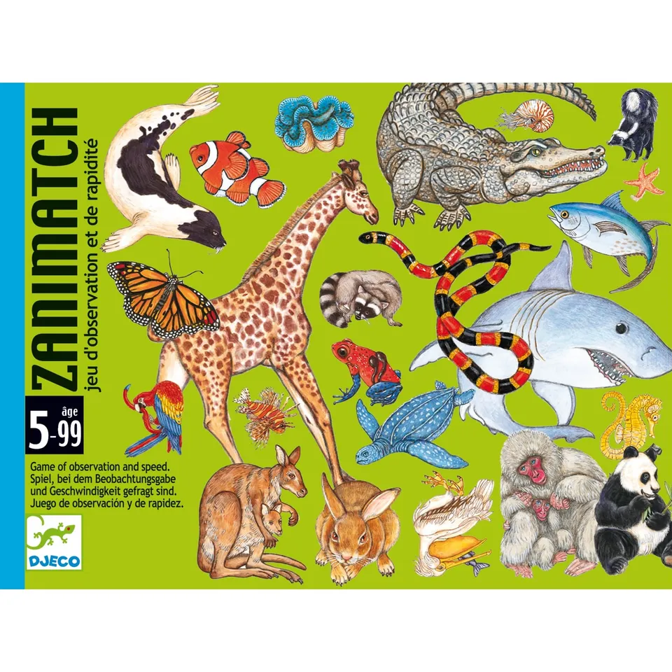 Djeco Zanimatch gioco di carte osservazione 5 anni+