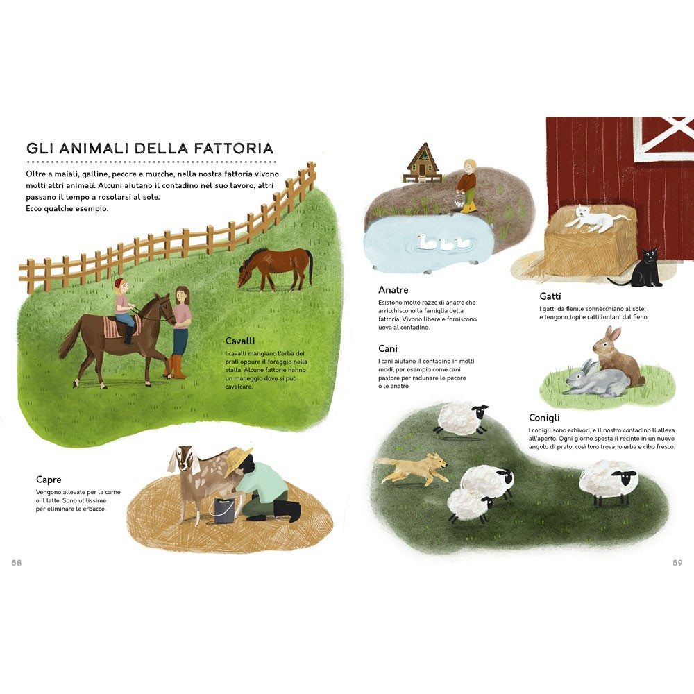 Un anno in fattoria libro illustrato 80 pagine