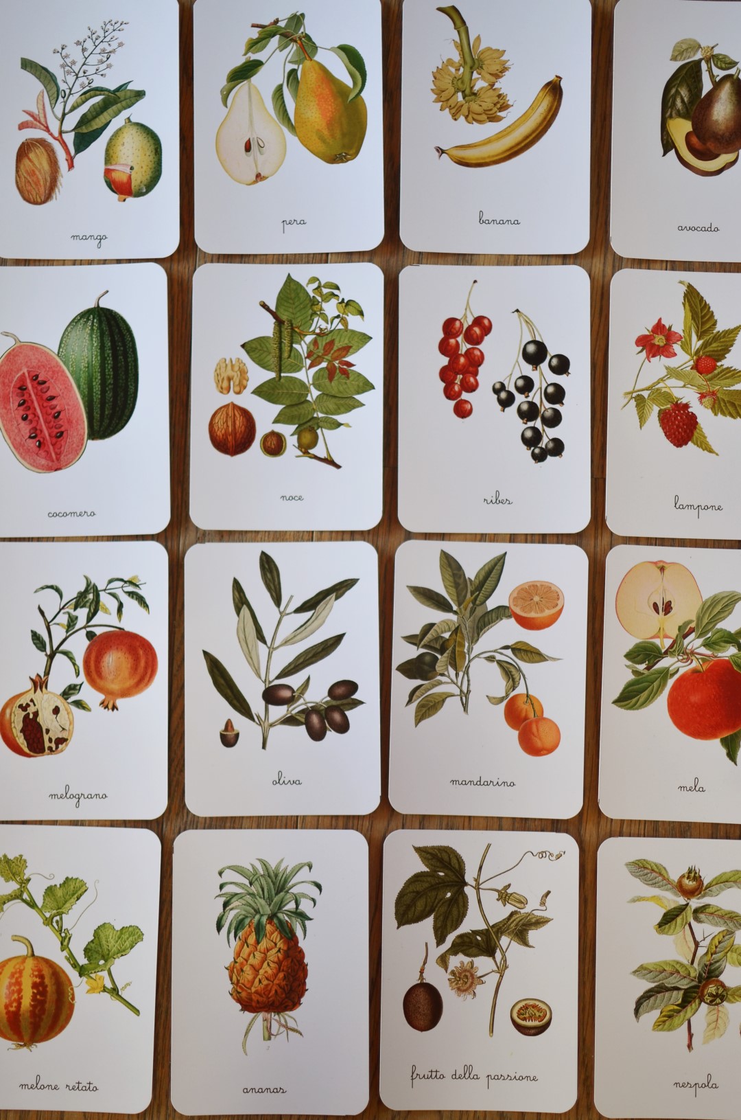 Baboo Frutta e Ortaggi carte montessori PDF 70 pagine natura