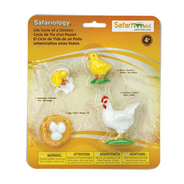 Safari Ltd ciclo vita pollo set 4 figure educative