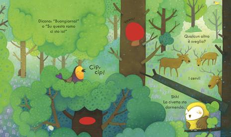 Usborne Libri cucù La foresta libro cartonato 3 anni