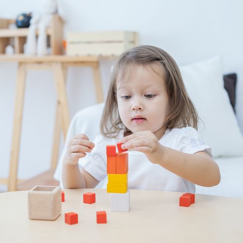 Plan Toys Fraction Cubes gioco frazioni legno