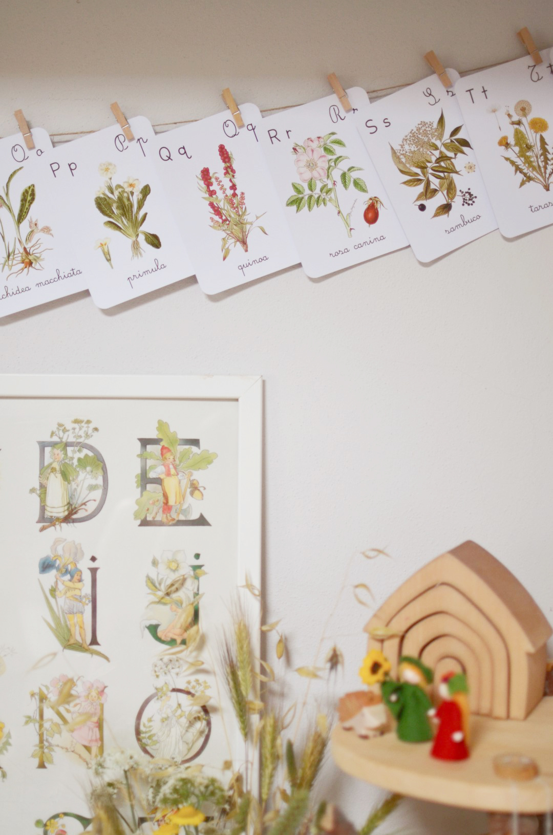Baboo Erbe e Fiori carte apprendimento PDF 70 pagine natura