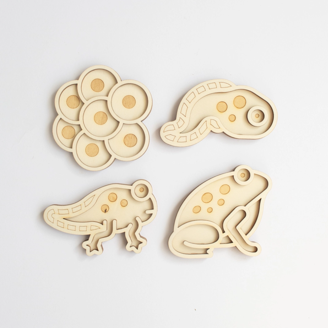 Studio de Rijk Play Tray Frog life set mini vassoi legno 4 pezzi
