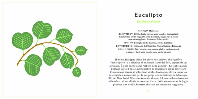 Nomos Piccola guida foglie libro bambini 96 pagine