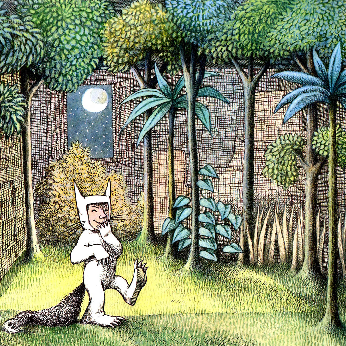 Maurice Sendak Nel paese dei mostri selvaggi albo illustrato