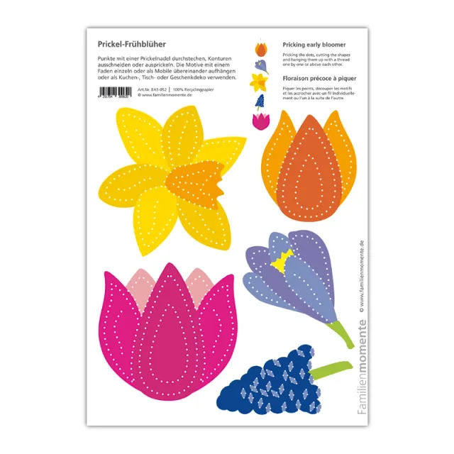 Bloomer Cartolina A5 da punzonare carta riciclata fronte retro