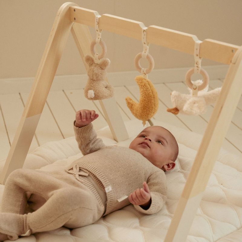 Little Dutch Baby Gym palestrina legno Luna
