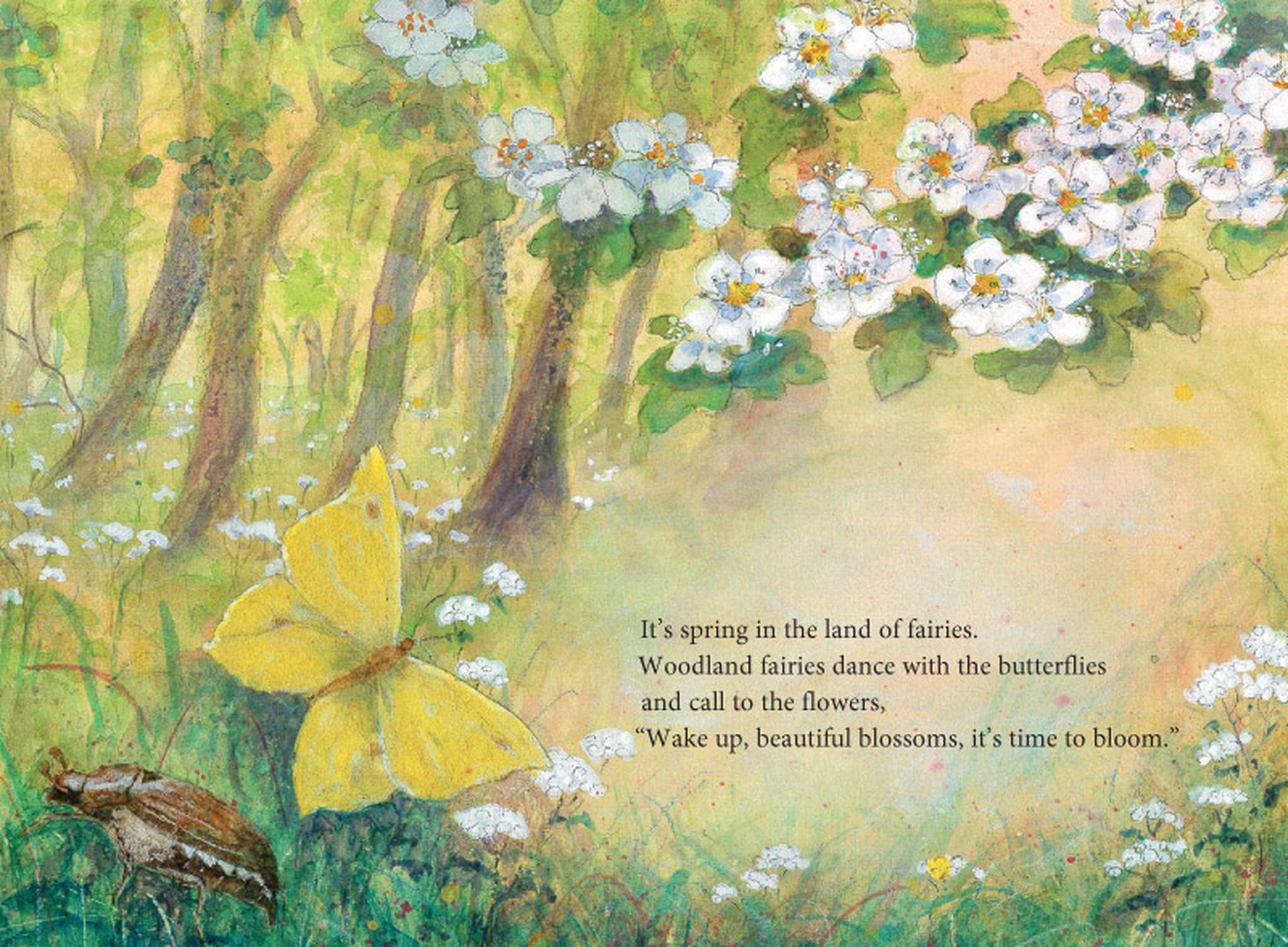 Daniela Drescher In the Land of Fairies Libro Illustrato 3-6 Anni