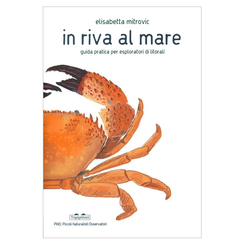 Topipittori PiNO In riva al mare libro bambini 32 pp