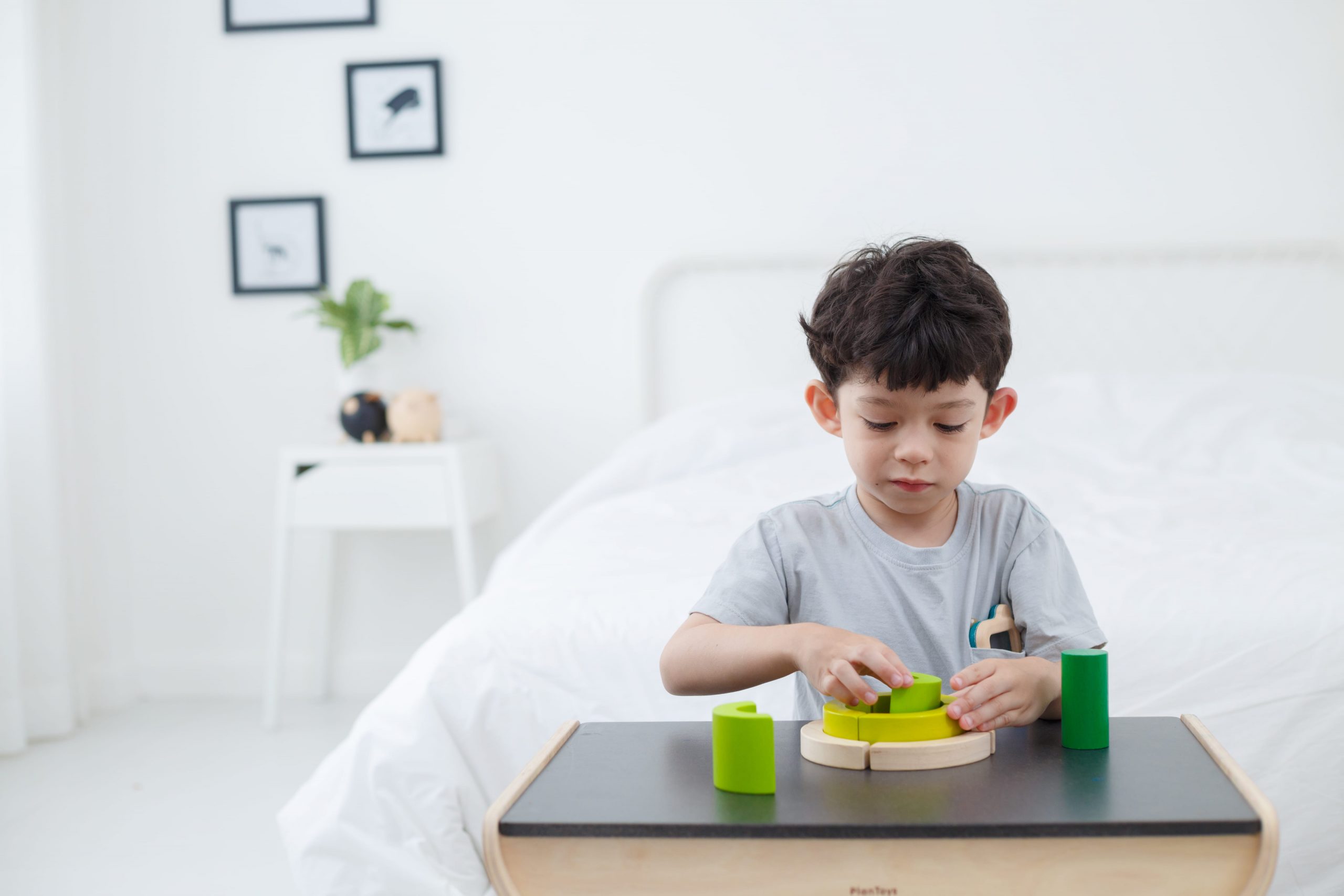 Plan Toys Curve Blocks gioco logico legno bambini