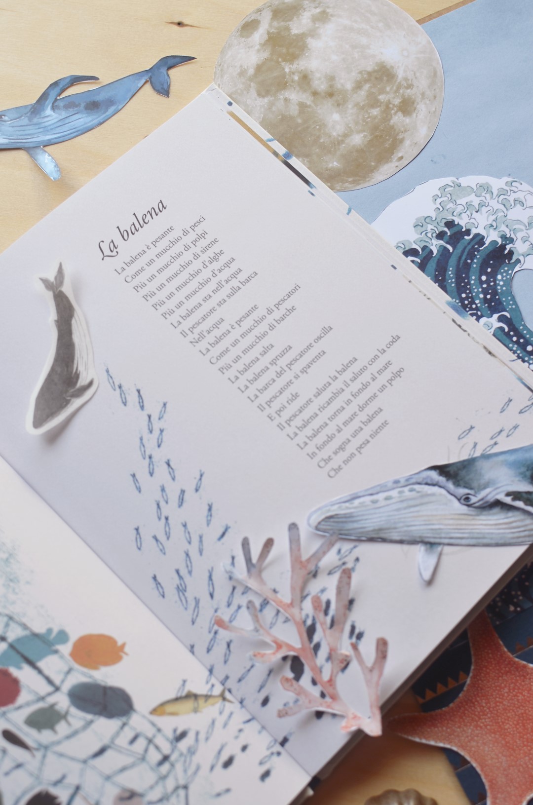 Terre di Mezzo La Forma del Mare Libro Poesie 3-6 Anni