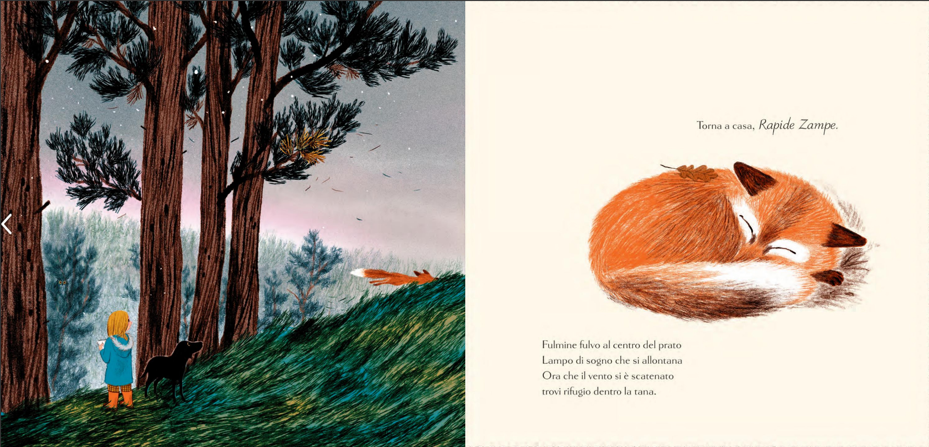 Terre di Mezzo Buonanotte bosco libro in versi 32 pagine