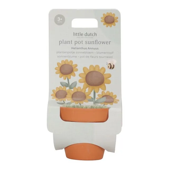 Little Dutch vaso terracotta girasole da coltivare
