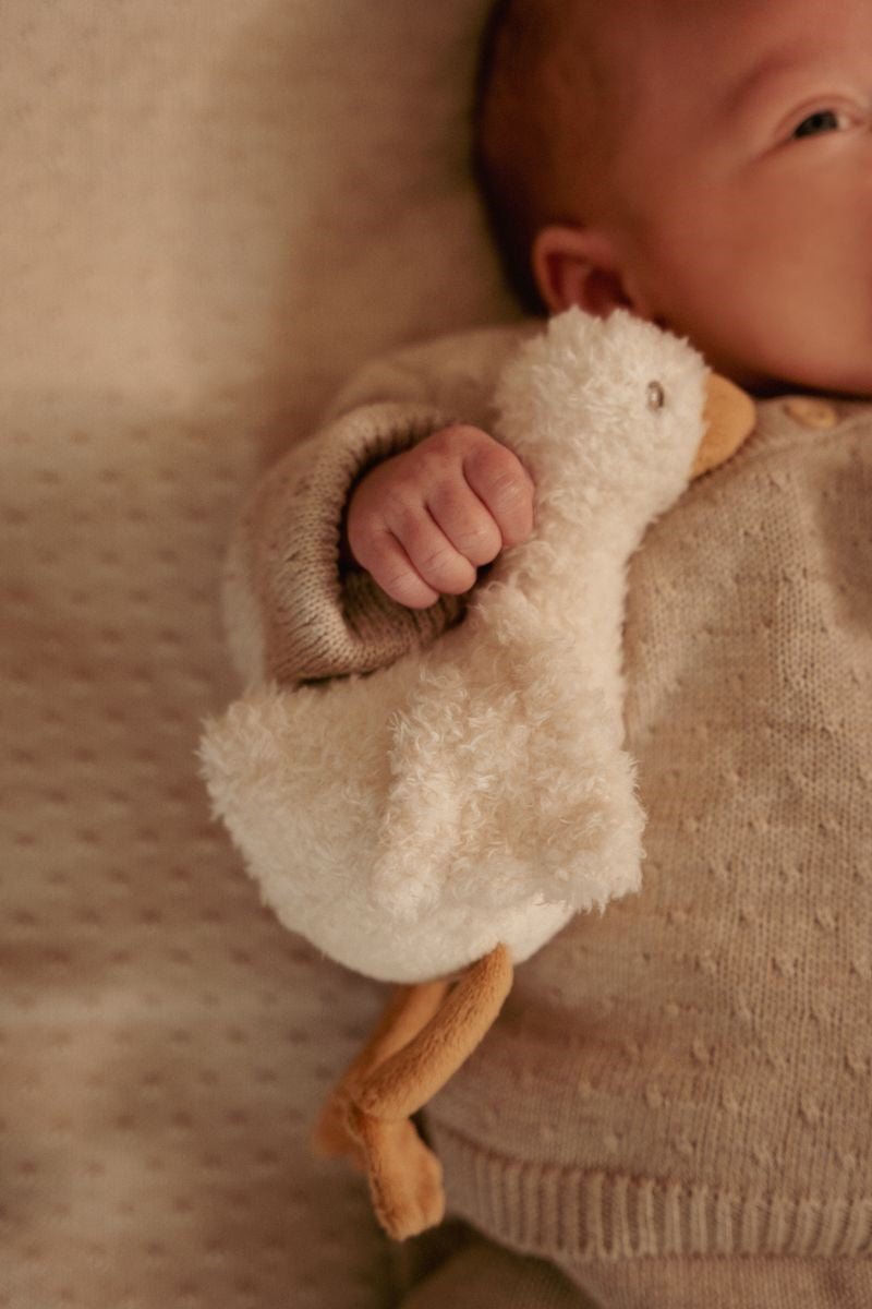 Little Dutch Little Goose cofanetto regalo neonato 0 mesi