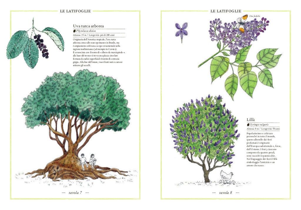 L'Ippocampo Inventario Alberi libro illustrato 72 pagine