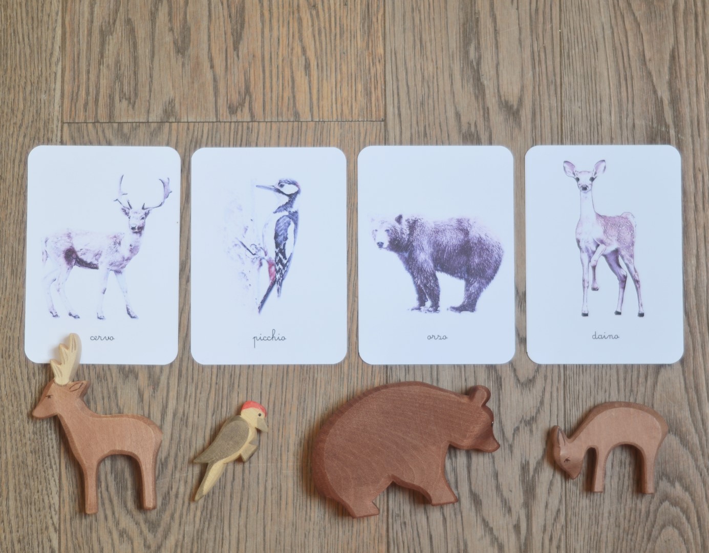 Baboo Animali del bosco carte nomenclature PDF 12 carte corsivo