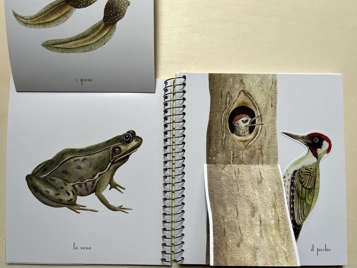 Topipittori Primavera Estate Autunno Inverno libro bambini con alette