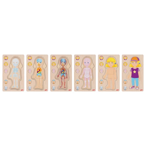 Goki corpo umano bambina puzzle legno 5 strati scheletro