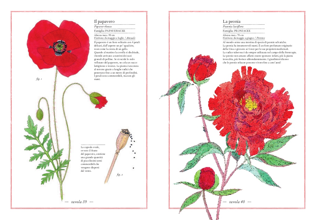 L'Ippocampo Inventario illustrato fiori libro cartonato