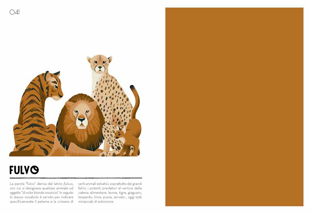 L'Ippocampo Colorama campionario cromatico libro colori 280 pagine