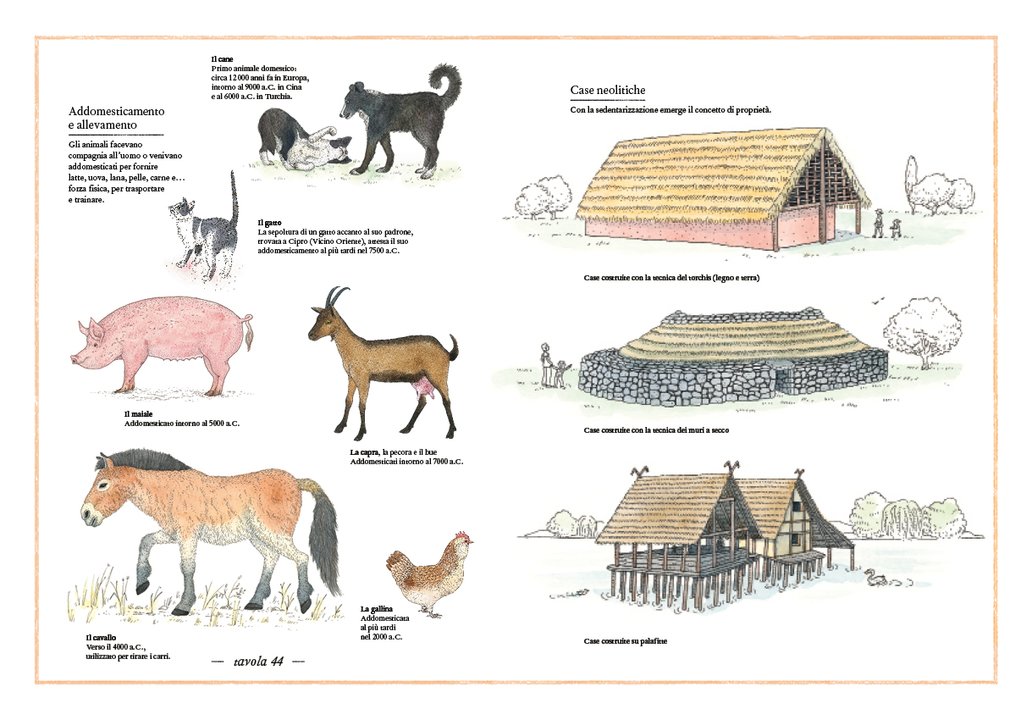 L'Ippocampo Inventario Illustrato Preistoria libro cartonato 6-9 anni