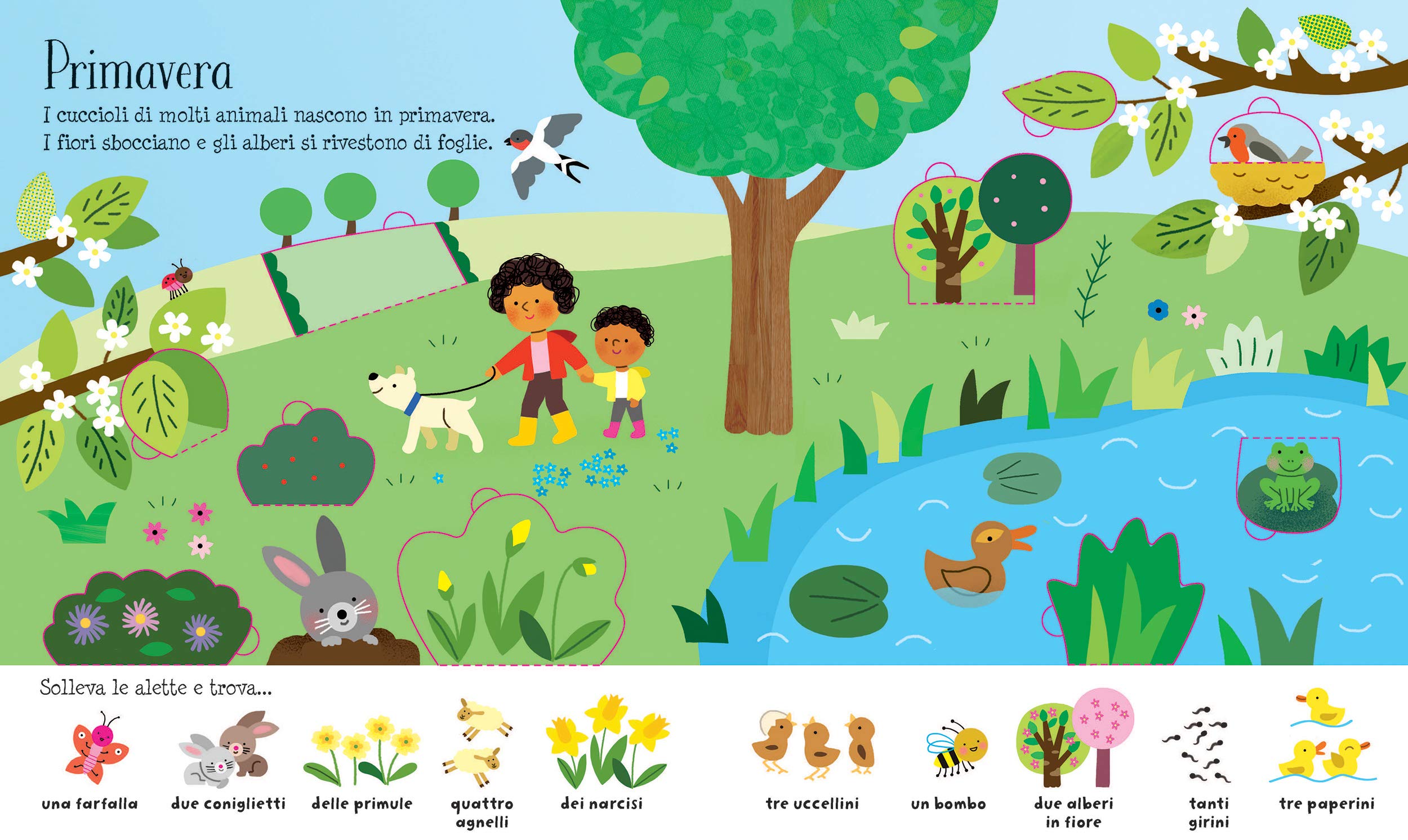 Usborne Il tempo e le stagioni libro con alette