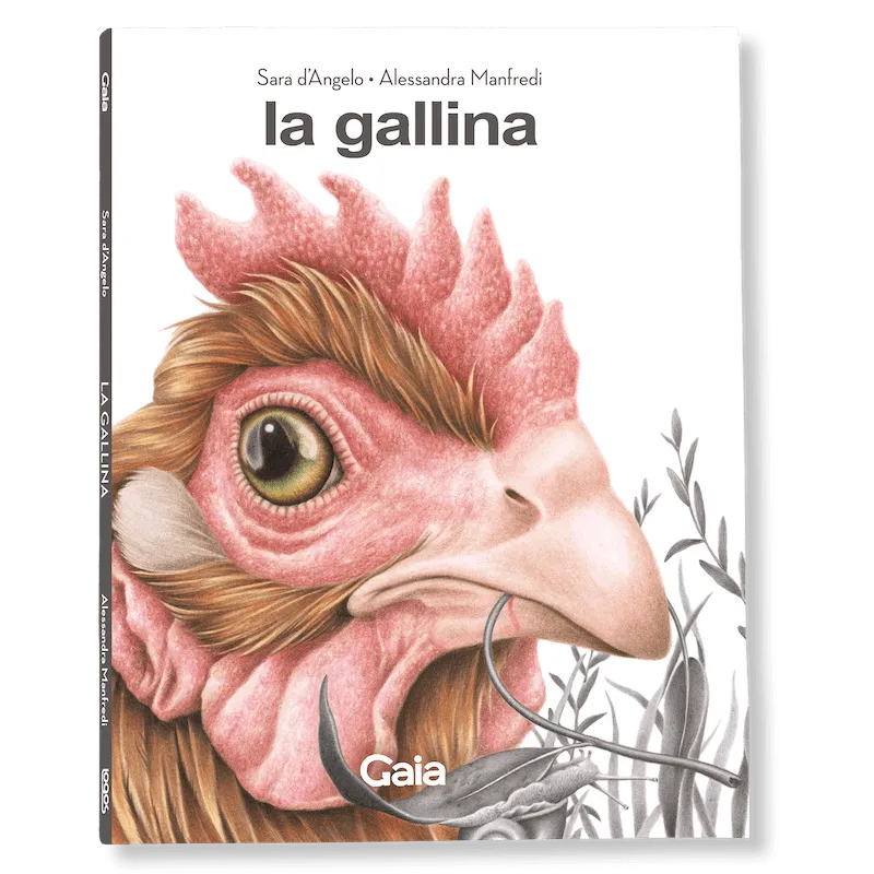 Logos La Gallina Libro Illustrato 72 Pagine dai 6 Anni