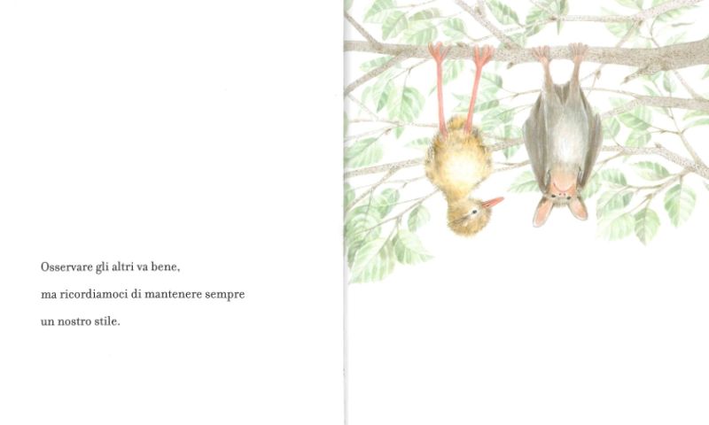 Clavis Lezioni di Volo Libro Illustrato 48 Pagine