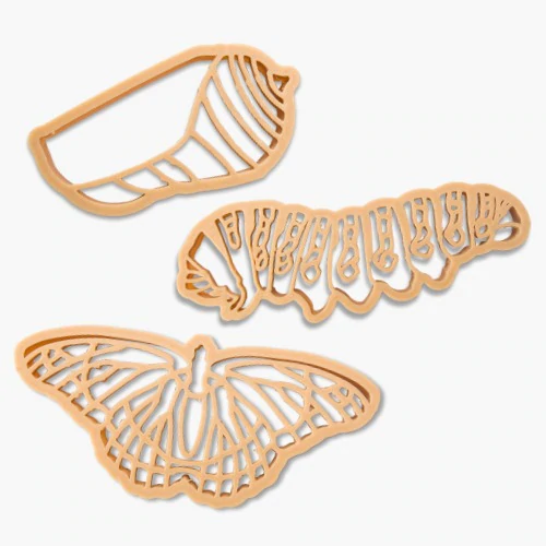 Kinfolk & Co Ciclo Vita Farfalla formine pasta modellabile 3 pezzi bio