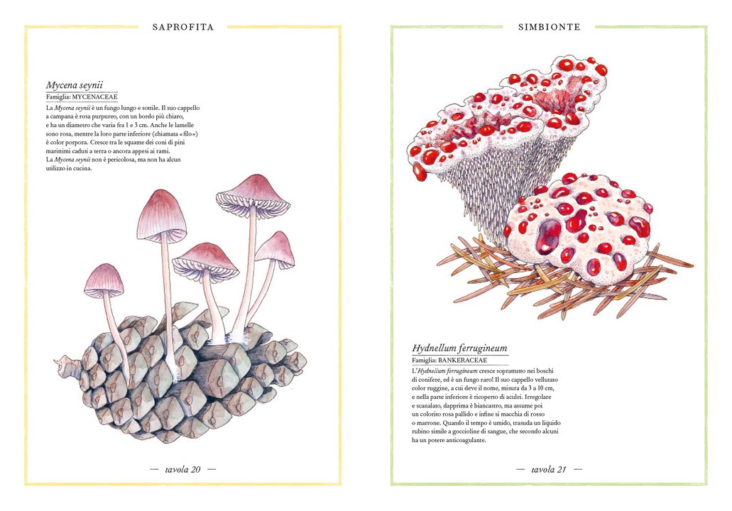 Ippocampo Inventario Illustrato dei Funghi libro 88 pagine