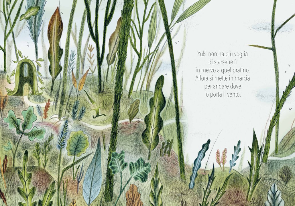 Fili d’erba Clotilde Perrin albo illustrato 72 pagine