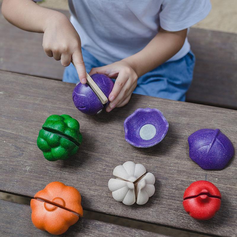 PlanToys Set Verdure da Tagliare in Legno 7 Pezzi