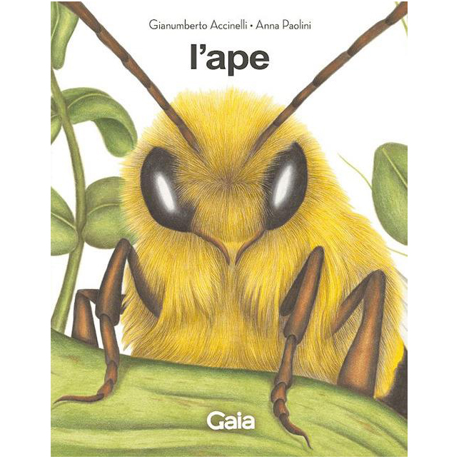 Logos Gaia L'ape e il fantasma dell'alveare libro illustrato