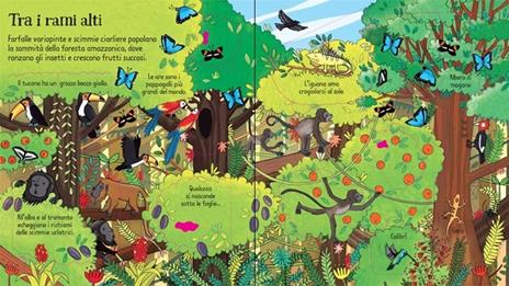 Usborne La giungla libro con alette 80 linguette