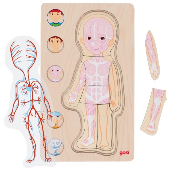 Goki Corpo Umano puzzle legno 5 strati bambino