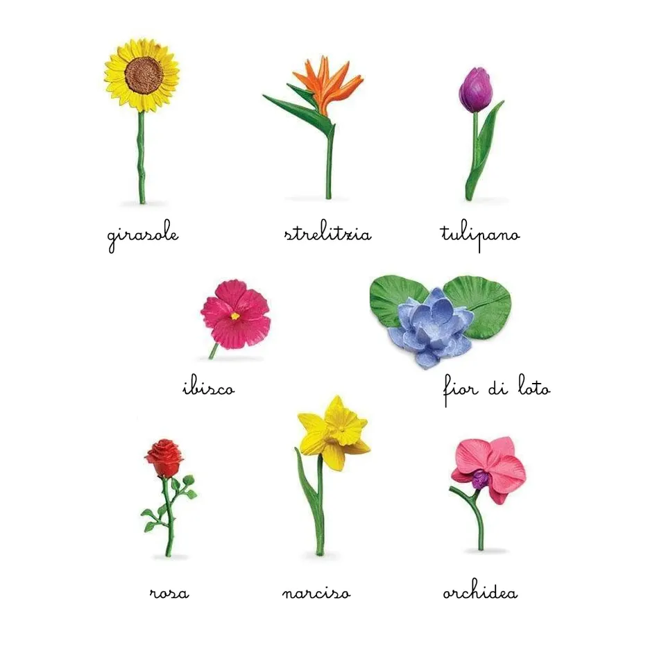 Safari Ltd Toob Fiori set 8 miniature con nomenclature