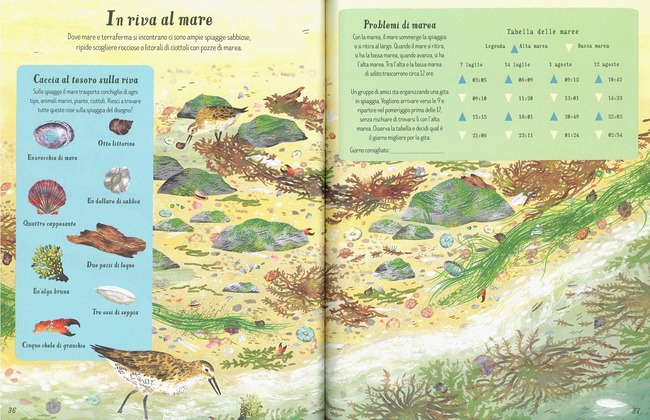 Usborne La Natura Giochi e Passatempi Libro 80 Pagine 4+