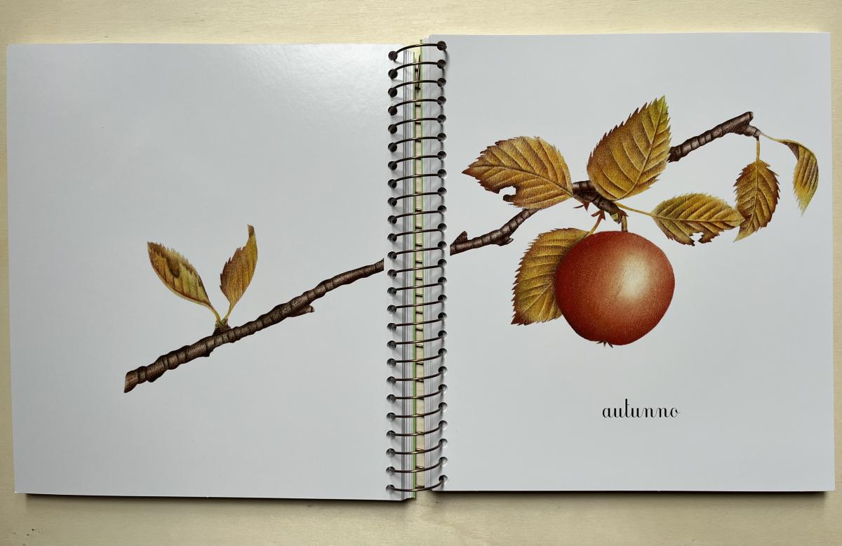 Topipittori Primavera Estate Autunno Inverno libro bambini con alette